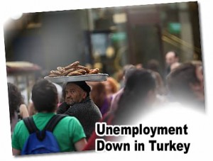 employment