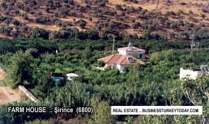 FH_SIRINCE_6800M_BIRDSEYE