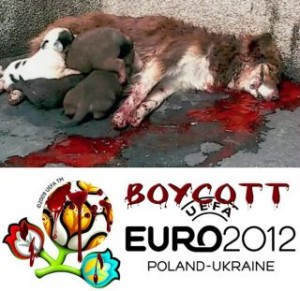 EURO2012_BOYCOTT