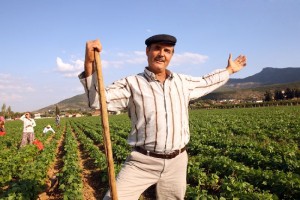 TURKISH_FARMER