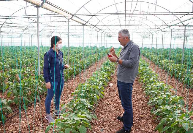 SMART AGRICULTURE IN ANTALYA