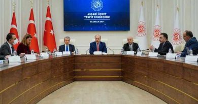 MINIMUM WAGE COMMISSION IN TURKEY