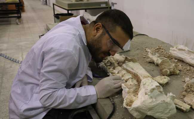 MORE THAN 7 MILLION YEAR OLD FOSSILS FOUND IN KAYSERI