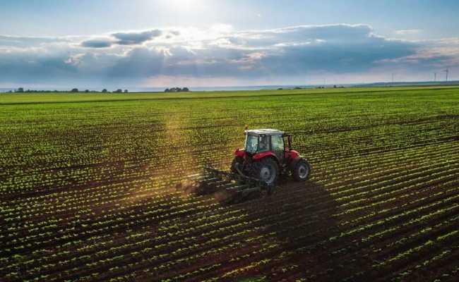 FARMING IN TURKEY