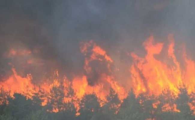 FOREST FIRE IN DARDANELLES