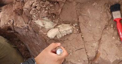 FOSSIL EXCAVATIONS IN CANKIRI