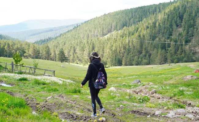 NATURE TRIPS IN TURKEY