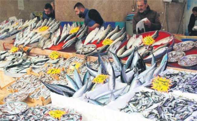 FISH IN ISTANBUL(1)