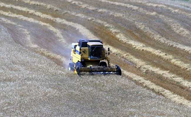 ORGANIC FARMING TURKEY