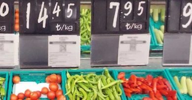 VEGETABLE TOMATO PRICES TURKEY