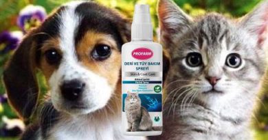 PET PRODUCTS MANUFACTURER TURKEY