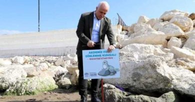 SEALS PROTECTED IN MERSIN TURKEY