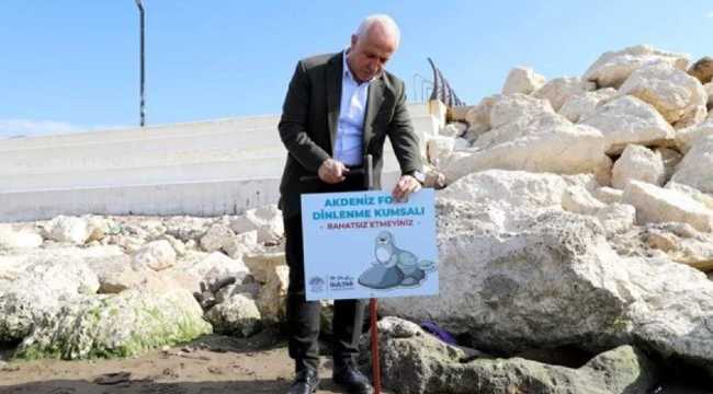SEALS PROTECTED IN MERSIN TURKEY