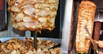 CHICKEN DONER IN TURKEY