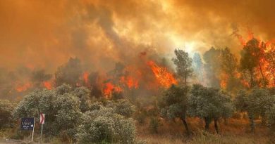 FOREST FIRE IN MUGLA