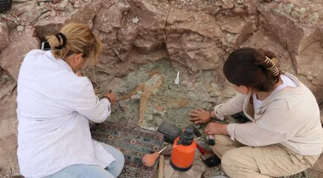 JURASSIC PARK OF TURKEY CORAKYERLER