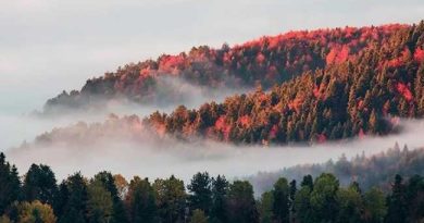 YEDIGOLLER BOLU TRAVEL TURKEY