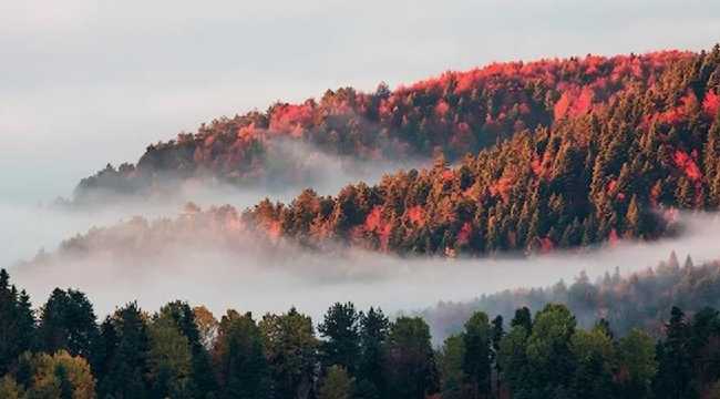 YEDIGOLLER BOLU TRAVEL TURKEY