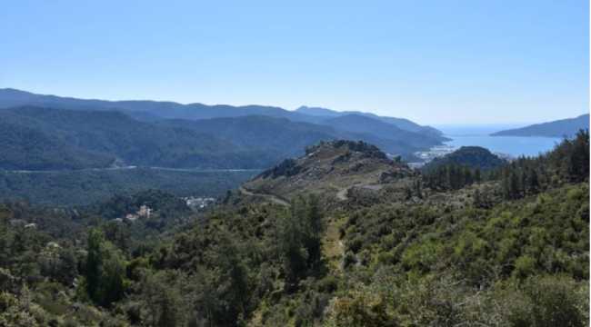 FORESTS IN MUGLA