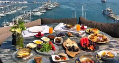 RESTAURANT FETHIYE 2