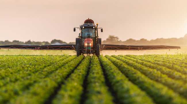 AGRICULTURE IN TURKEY