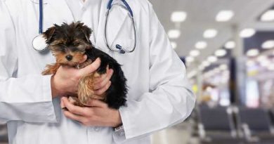 TURKISH VETERINARY ASSOCIATION