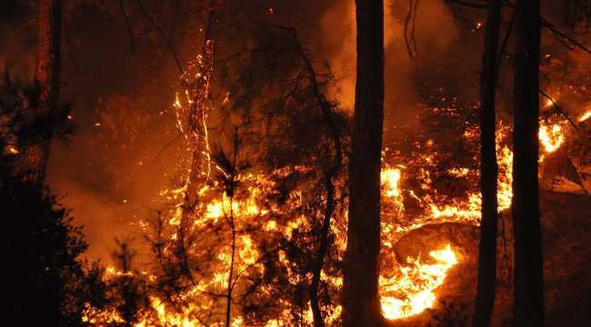 MARMARIS FIRE 06 JUNE 2024