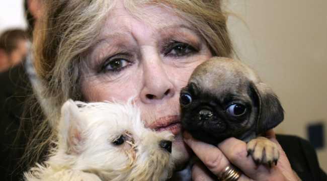 BRIGITTE BARDOT LETTER TO ERDOGAN