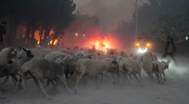 FIRE IN IZMIR 190724 3