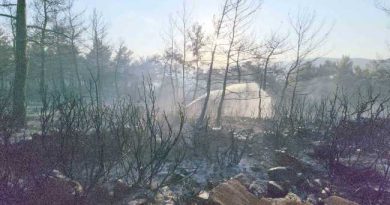 FOREST FIRE IN MUGLA 100724 2