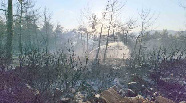 FOREST FIRE IN MUGLA 100724 2