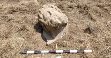 HEAD OF ZEUS FOUND TURKEY 1