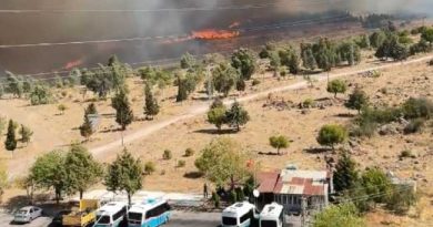 FIRE IN IZMIR 160824