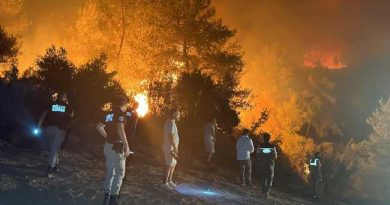 FIRE IN MUGLA