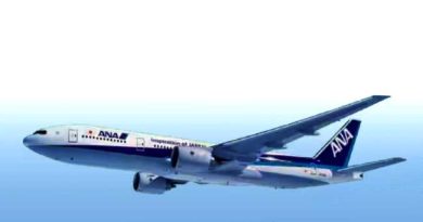 ANA AIRLINES