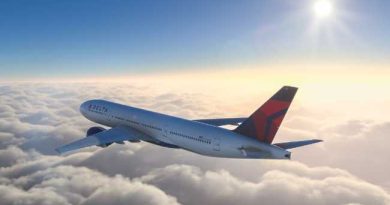 DELTA AIRLINES