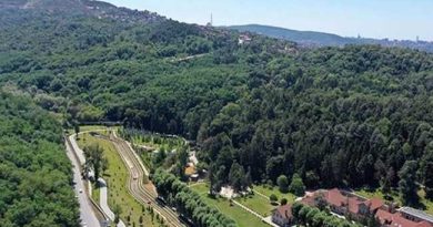 FORESTS IN TURKEY