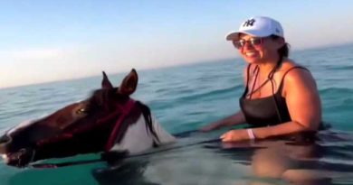 HORSE RIDING IN SEA ALANYA