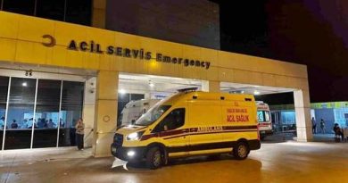 TOURIST IN AYDIN DIES