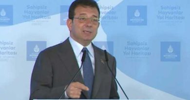 IMAMOGLU STRAY ANIMALS