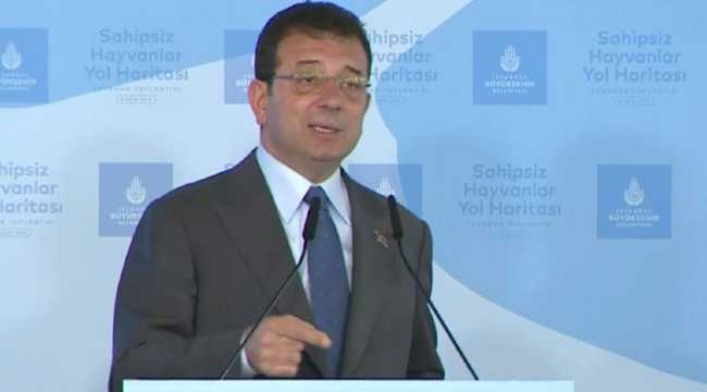 IMAMOGLU STRAY ANIMALS