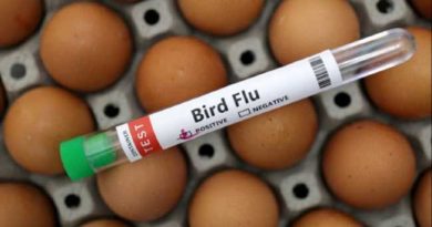 AVIAN INFLUENZA IN TURKEY