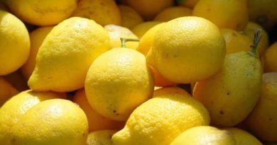 LEMONS PESTICIDE TURKEY