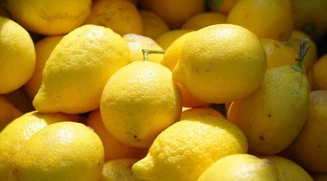 LEMONS PESTICIDE TURKEY