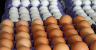 EGG EXPORTS TO USA