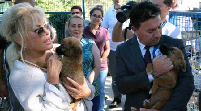 MUGLA MUNICIPALITY ANIMAL SHELTER