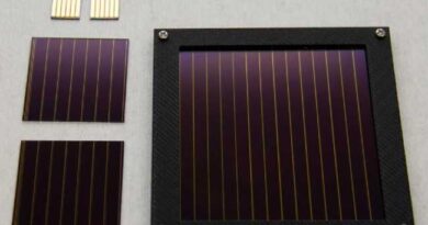 Perovskite Solar Cells
