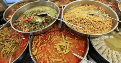 TURKISH CUISINE 1