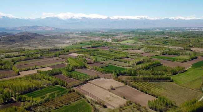 AGRICULTURE TURKEY