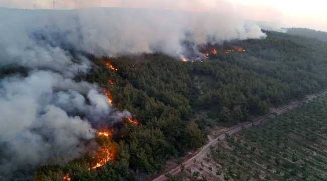 FIRE IN TEKIRDAG AND CANAKKALE